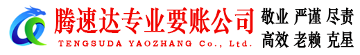 宜丰腾速达清债公司